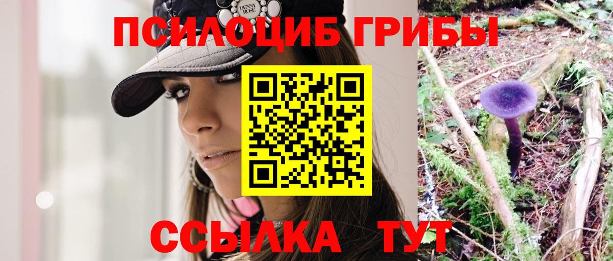 Псилоцибиновые грибы GOLDEN TEACHER  наркотики  Зеленодольск  Вход с VPN  Галлюциногенные грибы прущие грибы 